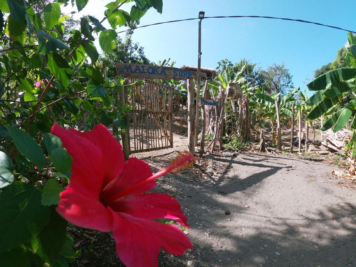 Private Beach House Maloka Surf Puerto Limon Екстериор снимка