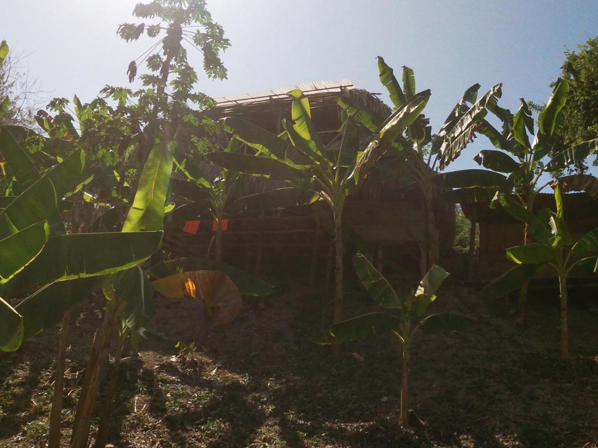 Private Beach House Maloka Surf Puerto Limon Екстериор снимка